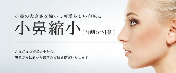 小鼻縮小　安い